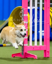 2025-6-29-BANDA-1214