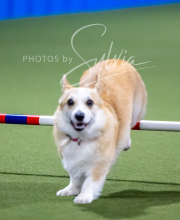 2025-6-29-BANDA-1222