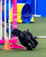 2025-6-29-BANDA-1238