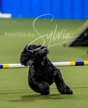 2025-6-29-BANDA-1240