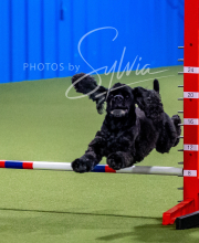 2025-6-29-BANDA-1244