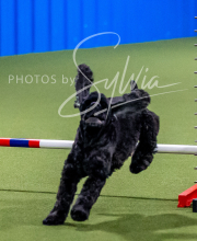 2025-6-29-BANDA-1245