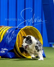 2025-6-29-BANDA-1253