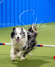 2025-6-29-BANDA-1260