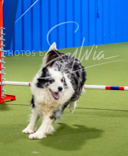 2025-6-29-BANDA-1262