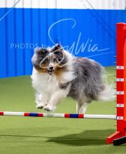 2025-6-29-BANDA-1265