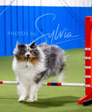 2025-6-29-BANDA-1266