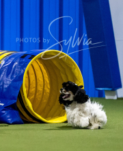 2025-6-29-BANDA-1282