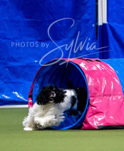 2025-6-29-BANDA-1284