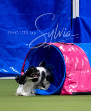 2025-6-29-BANDA-1285