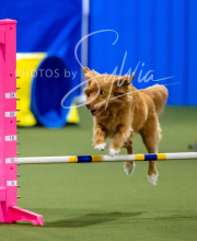 2025-6-29-BANDA-1289