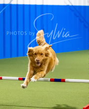 2025-6-29-BANDA-1291