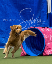 2025-6-29-BANDA-1296