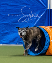 2025-6-29-BANDA-1305