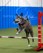 2025-6-29-BANDA-1307