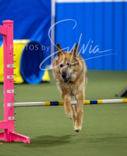 2025-6-29-BANDA-1317