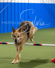 2025-6-29-BANDA-1322