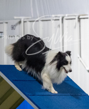 2025-6-29-BANDA-1326