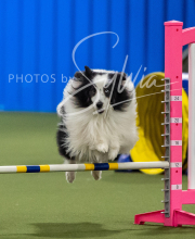 2025-6-29-BANDA-1327