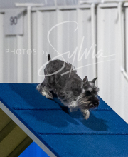 2025-6-29-BANDA-1331