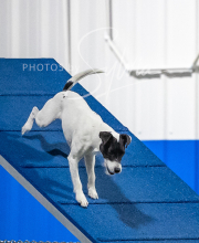 2025-6-29-BANDA-1337