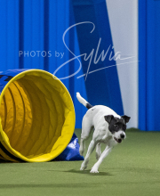 2025-6-29-BANDA-1339