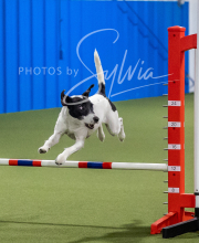 2025-6-29-BANDA-1345