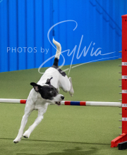 2025-6-29-BANDA-1346