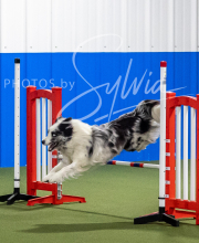 2025-6-29-BANDA-1347