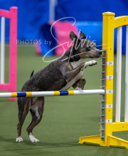 2025-6-29-BANDA-1353