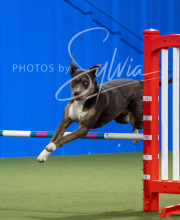 2025-6-29-BANDA-1354