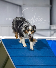 2025-6-29-BANDA-1357