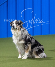 2025-6-29-BANDA-1361