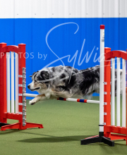 2025-6-29-BANDA-1364