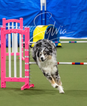 2025-6-29-BANDA-1369