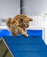 2025-6-29-BANDA-1381