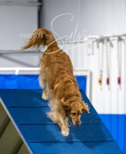 2025-6-29-BANDA-1384