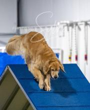 2025-6-29-BANDA-1391