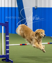 2025-6-29-BANDA-1392