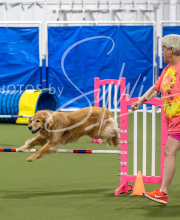 2025-6-29-BANDA-1394