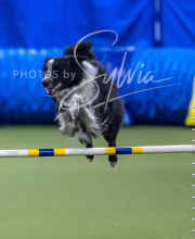 2025-6-29-BANDA-1399