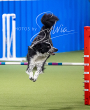 2025-6-29-BANDA-1405