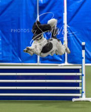 2025-6-29-BANDA-1409