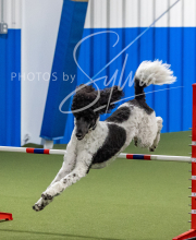 2025-6-29-BANDA-1411