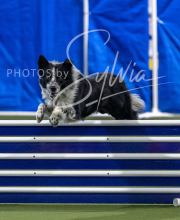 2025-6-29-BANDA-1413