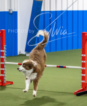 2025-6-29-BANDA-1424