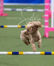 2025-6-29-BANDA-1427