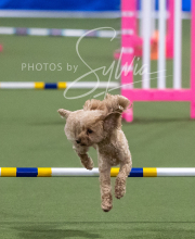 2025-6-29-BANDA-1428