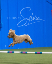 2025-6-29-BANDA-1429