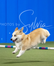 2025-6-29-BANDA-1442